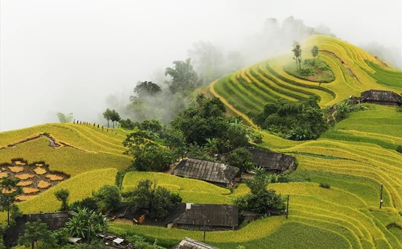 Lâm Đồng